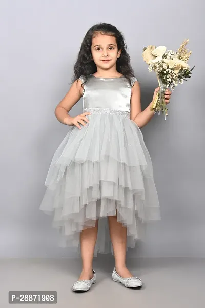 Adorable Net Fit and Flare Dress for Girls