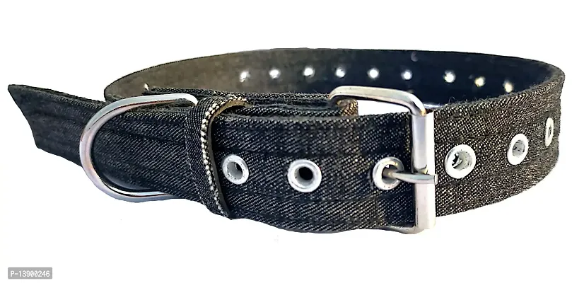 Dog Collar Free size more holes available to fit medium to large denim