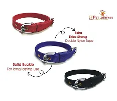 Pet Zoniyaa Dog Neck Collar 1 inch Belts (Specially for Medium Size of Dogs) Odor proof, Waterproof (Pack of 3)-thumb2