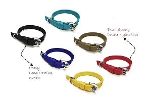 Pet zoniya's Latest Edition of colorfull,Attractive and Durable 0.75 inch Dog Collar(SB,Y,B,BL,C,R)(Specially for Small Size of Dogs)(Pack of 6)-thumb2