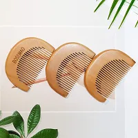 Beard Comb Mustache Comb Wooden Comb Small Comb 3x2 inches (8x5cm) Mustache Combs for Men Wooden Beard Comb Premium Pocket Comb Convenient for Taking and Handling-thumb3