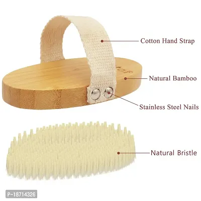 Ftzotof Dry Brush, Dry Brushing Body Brush with Natural Bristles, Exfoliating Brush Body Scrub for Dry Skin, Cellulite Treatment, Lymphatic Drainage and Blood Circulation Improvement, Medium Strength-thumb5