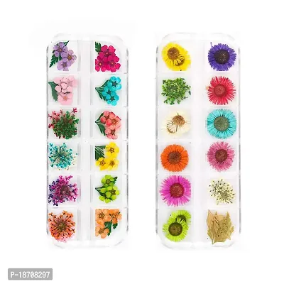 UOROMINE Dried Flowers Nail Art Design Decoration Supplies Real Natural Flowers Manicure Nail Art Decoration 2 Boxes 24 Colors (Stlye 3)