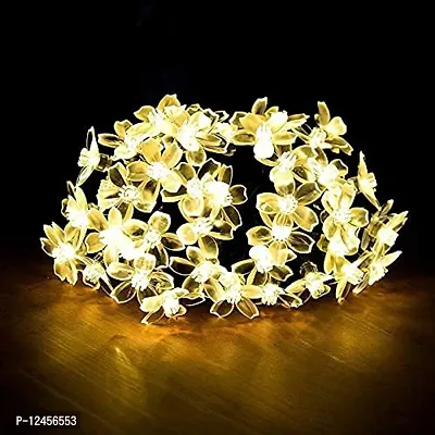 10 Star Curtain String Decorative Led Lights with 8 Mode for Diwali Christmas Wedding Party - 2.5 Meter (1 Curtain) 114 Led, (5+5 Star)(Multicolor)