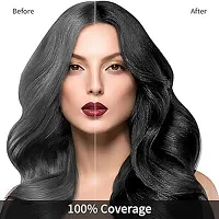 Herbal 3 in 1 Hair Dye Instant Black Hair Shampoo for Women  Men 100% Coverage Shampoo 300ml (Black)-thumb1
