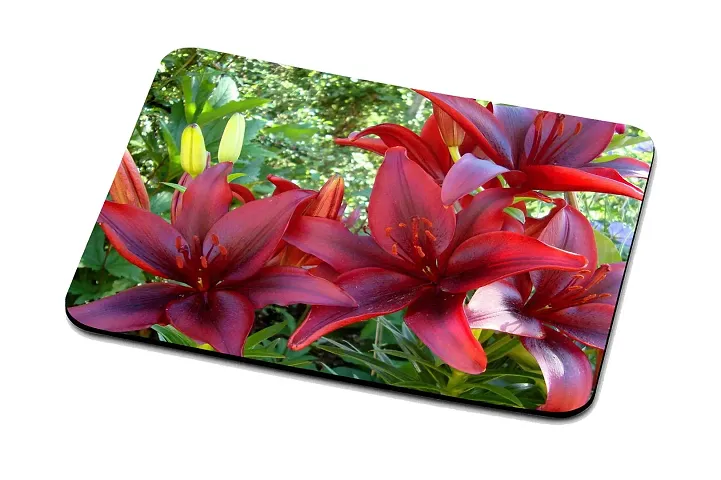 LAMS Flower Mouse Pad Rectangular Mouse Pad Large Mouse Pad -2608