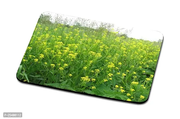 LAMS Nature Mouse Pad Gaming Mouse Desk Pad Waterproof Large Mouse Pad Soft Mouse Pad -2899-thumb0