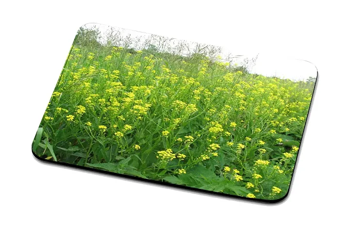 LAMS Nature Mouse Pad Gaming Mouse Desk Pad Waterproof Large Mouse Pad Soft Mouse Pad -2899