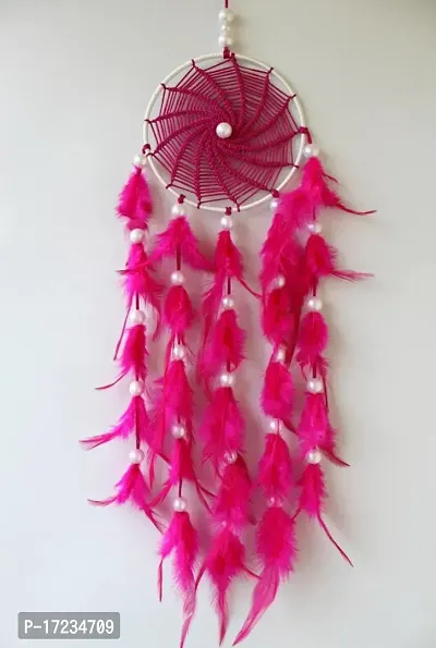 Stylish Dream Catcher for Wall Hanging and Deacute;cor