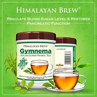 Gymnema Sugar Guard Herbal Tea for Diabetic Patient-thumb1