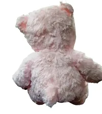 Anika Imported Fur Teddy 65 cm | Cute Plush Stuffed Toys for Kids-thumb1