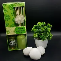 Modern Jasmine Reed Diffuser Set (Pack of 1)-thumb1