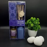 Modern Lavender Reed Diffuser Set (Pack of 1)-thumb1