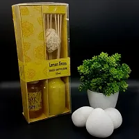 Modern Lemon Grass Reed Diffuser ( one pot, 6 Reed Stick and Diffuser Oil 60ml)-thumb1