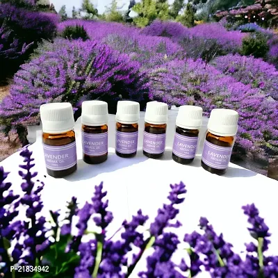 Essential Aroma Oil in Lavender Fragrance For Candle | Electric Diffuser (Set of 6 Each 10ml)-thumb2