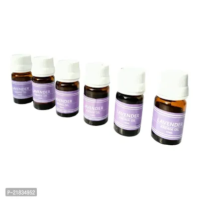 Essential Aroma Oil For Candle Diffuser | Electric Diffuser in Lavender Fragrance (Set 6 Each 10ml)