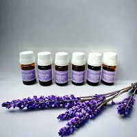Essential Aroma Oil For Candle Diffuser | Electric Diffuser in Lavender Fragrance (Set 6 Each 10ml)-thumb1