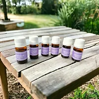 Essential Lavender Fragrance Aroma Oil for Candle | Electric Diffuser set (Set of 6 Each 10ml)-thumb1