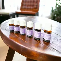 Essential Lavender Fragrance Aroma Oil for Candle | Electric Diffuser set (Set of 6 Each 10ml)-thumb2