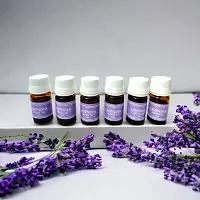 Pack of 6 Lavender Essential Aroma Oil For Diffuser Set | Candle Diffuser | Electric Diffuser (Each 10ml)-thumb1