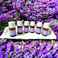 Pack of 6 Lavender Essential Aroma Oil For Diffuser Set | Candle Diffuser | Electric Diffuser (Each 10ml)-thumb3