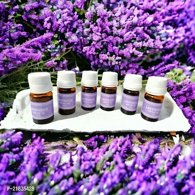 Pack of 6 Lavender Essential Aroma Oil For Diffuser Set | Candle Diffuser | Electric Diffuser (Each 10ml)-thumb4