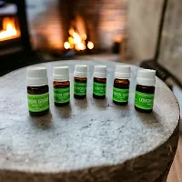 Essential Aroma Oil in Lemongrass Fragrance For Candle Diffuser | Electric Diffuser (Set of 6 Each 10ml)-thumb1