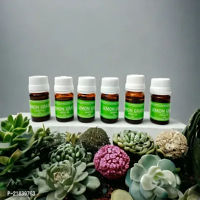 Lemongrass Aroma Diffuser Oil FOr Candle or Electric Diffuser Set (Set of 6 Each 10ml)
