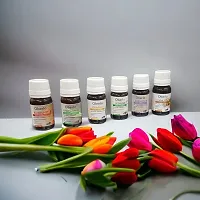 Essential Aroma Diffuser oil in 6 Fragrance Rose, Lemongrass, Lavender, Jasmine, Sandalwood and Madrin (Each 10ml)-thumb1