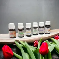 Essential Aroma Oil in Rose, Lemongrass, Lavender, Jasmine, Sandalwood and Madrin (Each 10ml)-thumb1