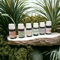 New Fragrance Rose, Lemongrass, Lavender, Jasmine, Sandalwood and Madrin Aroma Essentia Diffuser Oil (Each 10ml)-thumb2