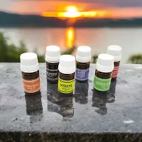 Set of 6 Aroma Essential Oil Rose, Lemongrass, Lavender, Jasmine, Sandalwood and Madrin Fragrance (Each 10ml)-thumb2