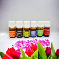 Set of 6 Aroma Essential Oil Rose, Lemongrass, Lavender, Jasmine, Sandalwood and Madrin Fragrance (Each 10ml)-thumb3