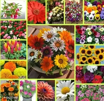 Crapulous Present Combo Of 17 Exotic Flowers Seeds For House GArdening |  17 Mix Flowers Seeds For Winter GArdening-thumb0