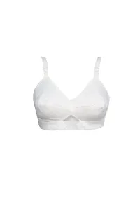 Stylish Cotton Solid Bra for Women, Pack of 3-thumb3