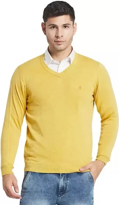 Mens Regular Fit Full Sleeve sweater