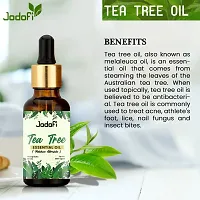 Jodofi Tea Tree Essential Oil 10ml (Pack of 1)-thumb2