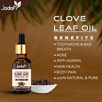Jodofi Clove Leaf Essential Oil 10ml-thumb2