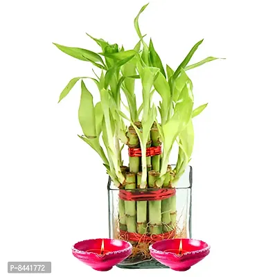 Trendy Lucky Bamboo Glass Vase With Diya-thumb0