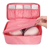 CHANCY Stylish Handy Waterproof  Washable Storage Case Women Bag For Traveling and Storage, Bra Underwear Lingerie Organizer Bag, Cosmetic Makeup Toiletry Bag (Multicolor)-thumb4