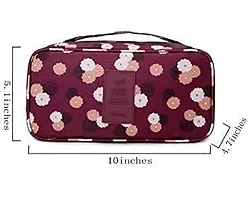 CHANCY Stylish Handy Waterproof  Washable Storage Case Women Bag For Traveling and Storage, Bra Underwear Lingerie Organizer Bag, Cosmetic Makeup Toiletry Bag (Multicolor)-thumb3