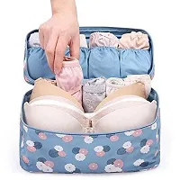 CHANCY Stylish Handy Women Bag For Traveling and Storage, Cosmetic Makeup Toiletry Bag, Waterproof  Washable Storage Case Bag, Bra Underwear Lingerie Organizer Bag (Multicolor)-thumb3