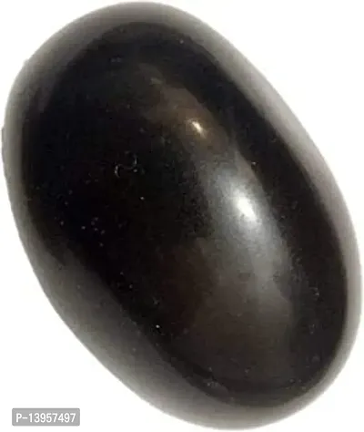 Natural Black Stone Shaligram for Pooja Shaligram Crystal Yantranbsp;nbsp;(Pack of 1)-thumb0