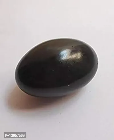 Natural Black Stone Shaligram for Pooja Shaligram Crystal Yantranbsp;nbsp;(Pack of 1)-thumb0