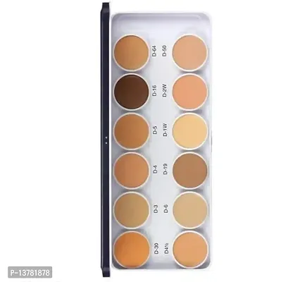 KRYOLAN Supra Color Foundation Palette 12 Color Foundation, Concealer