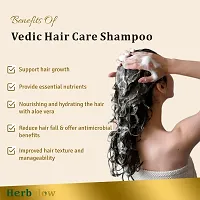 Herbglow vedic hair care shampoo-thumb2