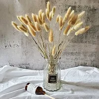 Royal sapphire Natural Dried Lagurus ovatus 8 Pcs, Dried Bunny Tails Pampas for Flower Arrangements Wedding Home Decor-thumb2