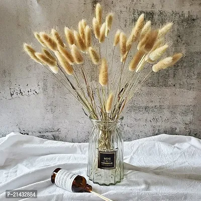 Royal sapphire Natural Dried Lagurus ovatus 8 Pcs, Dried Bunny Tails Pampas for Flower Arrangements Wedding Home Decor-thumb3