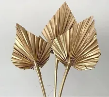 ROYAL SAPPHIRE Dried Palm Spear Stems - Set of 6 Golden Color-thumb2