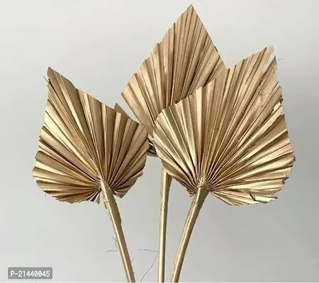 ROYAL SAPPHIRE Dried Palm Spear Stems - Set of 6 Golden Color-thumb3